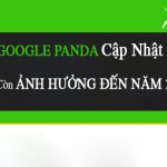 Gấu trúc Google Panda cập nhật còn ảnh hưởng đến năm 2018