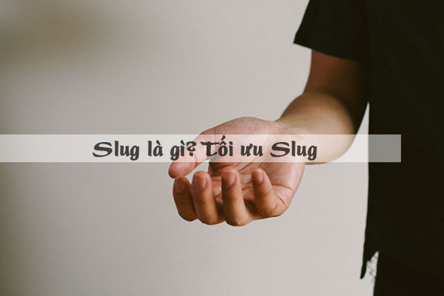 Slug là gì. Cách tối ưu Slug cho SEO