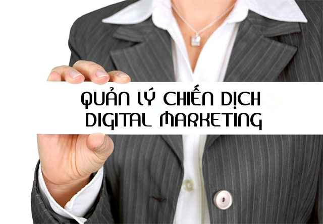 Công Việc quản lý digital marketing
