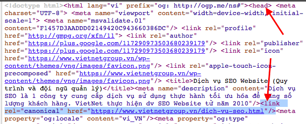 rel canonical link tag in HTML