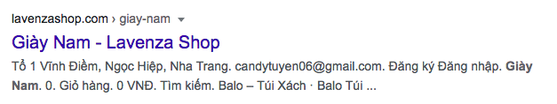 Thẻ Meta Description thiếu thông tin